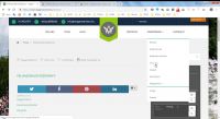 vw-blog-1